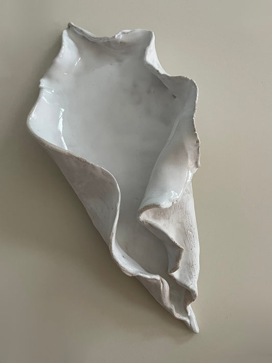 Muschelschale