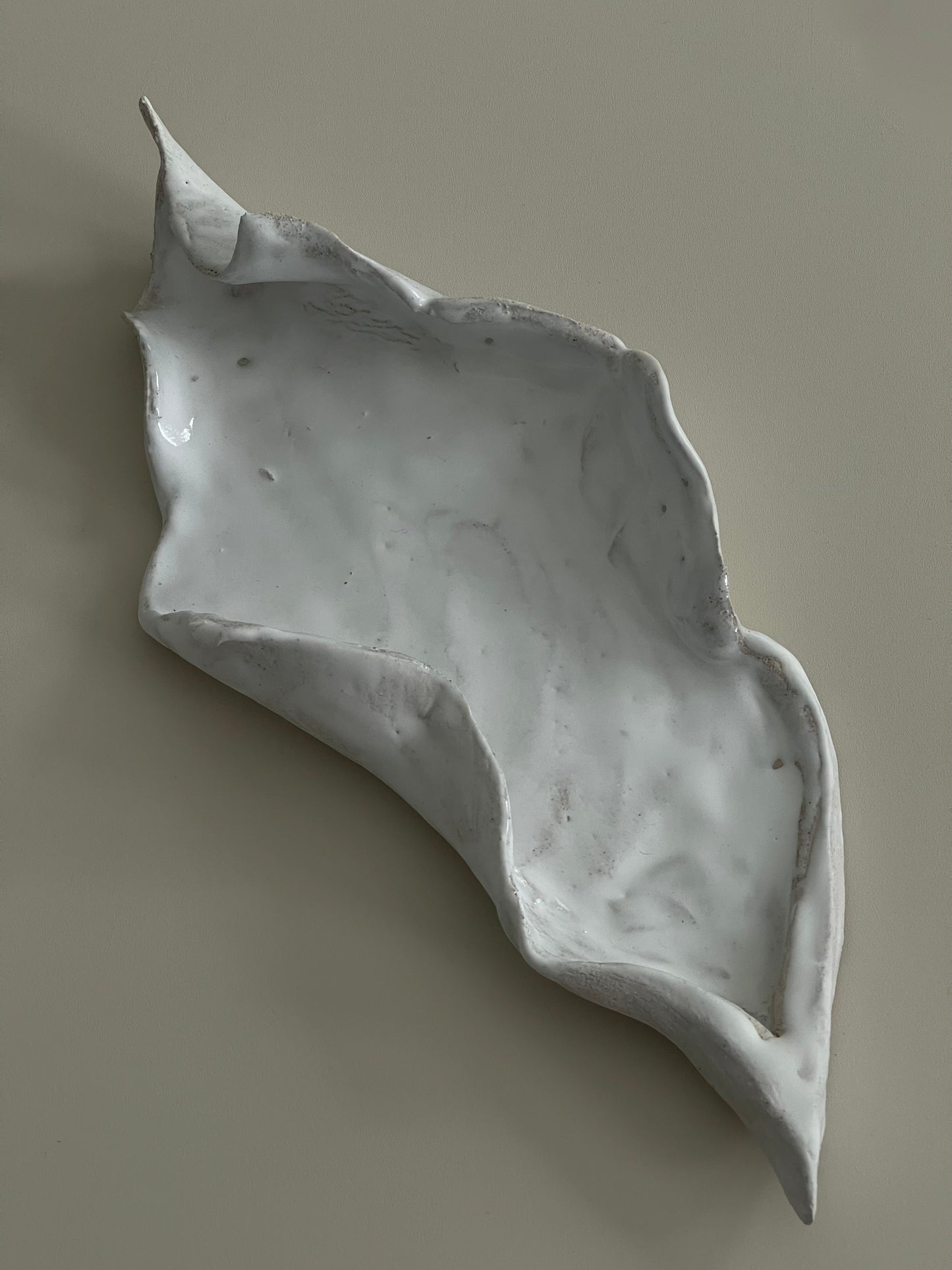 Muschelschale