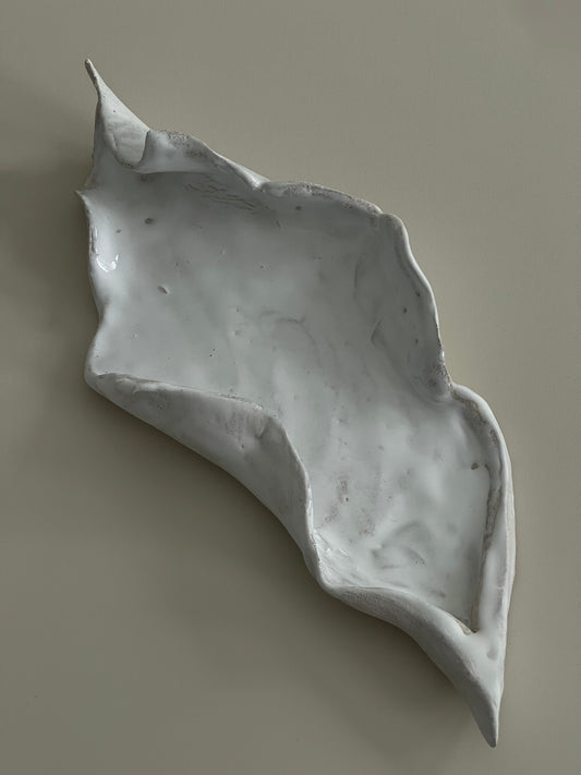 Muschelschale