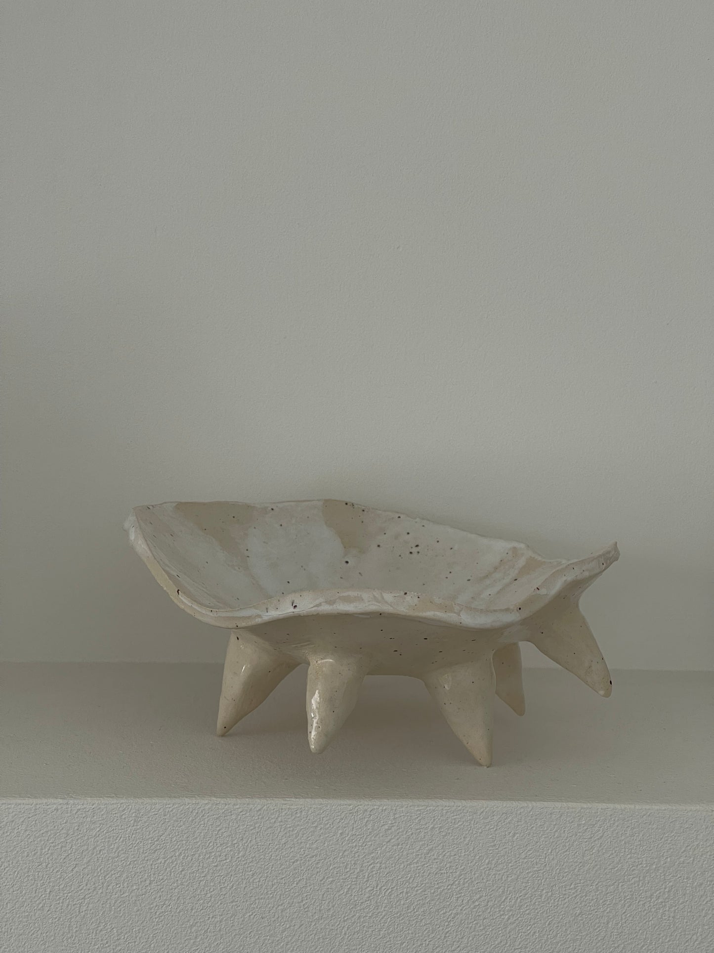 Muschelschale