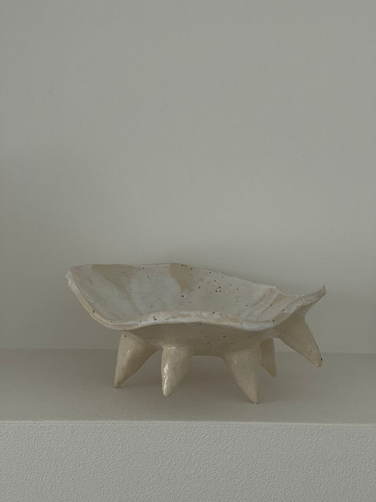 Muschelschale