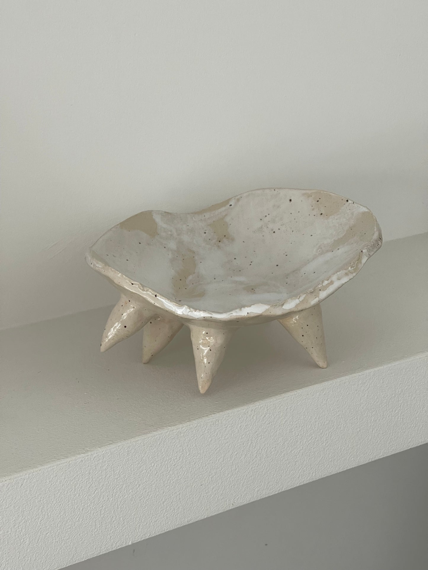 Muschelschale