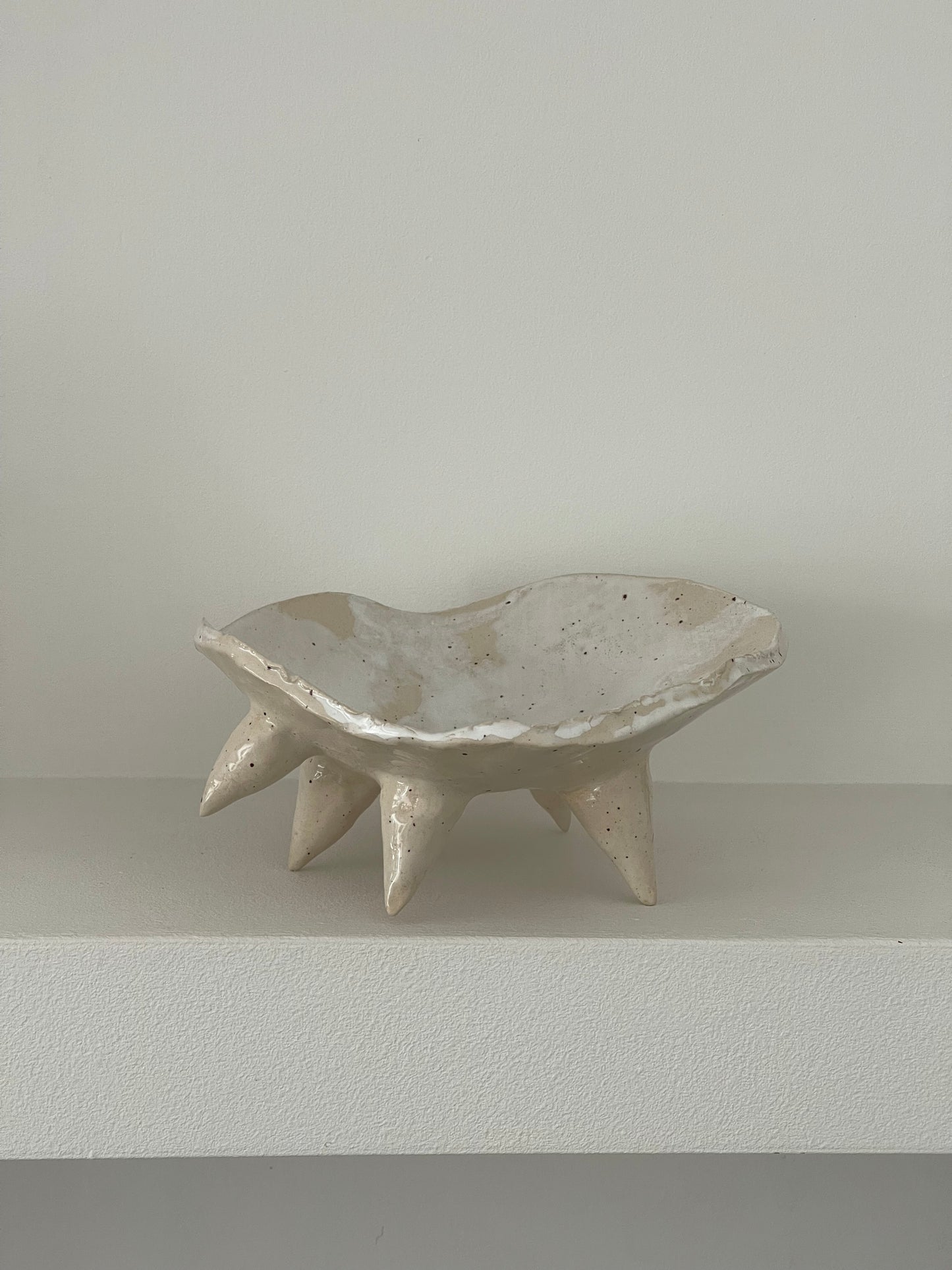 Muschelschale