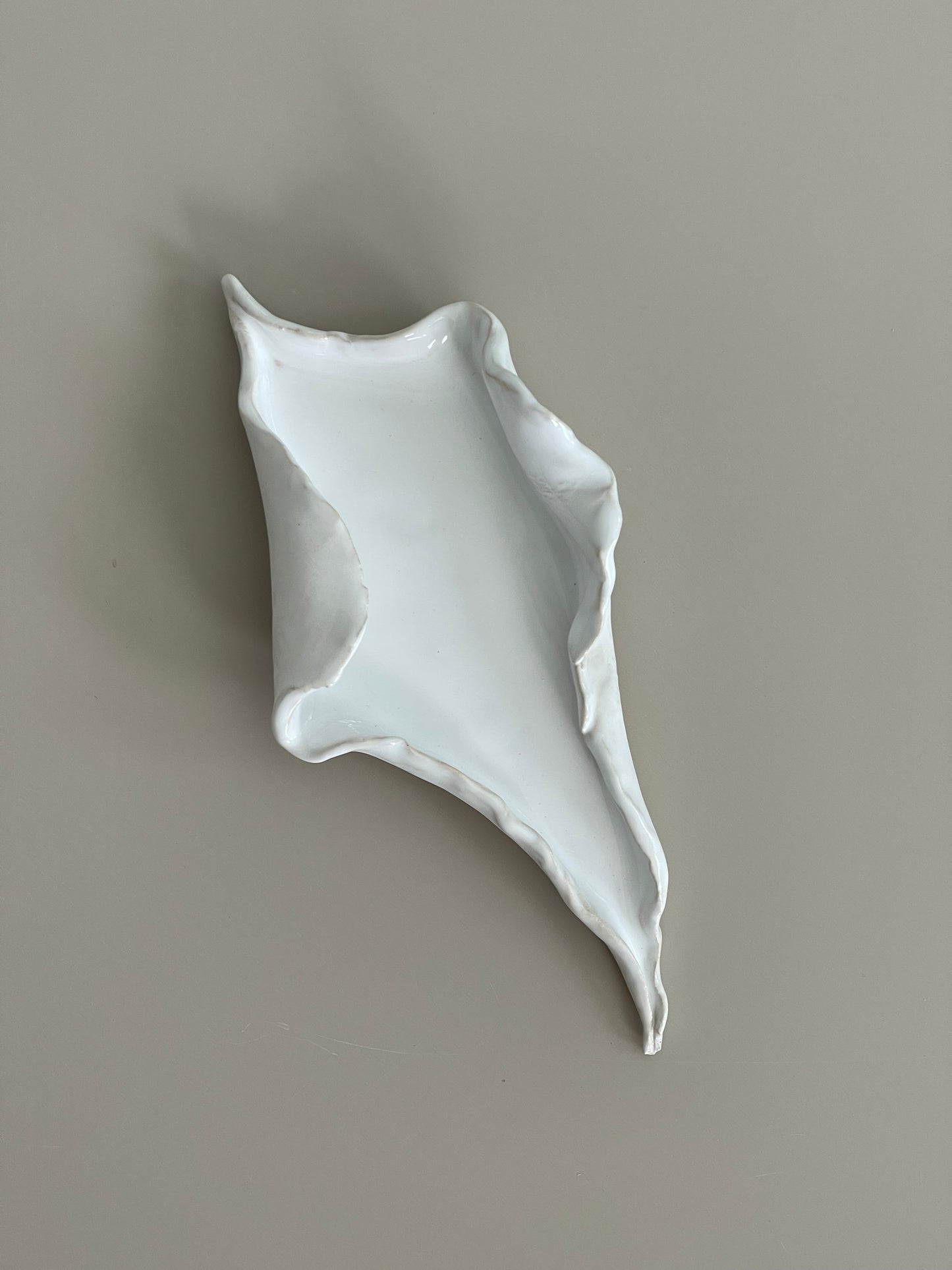 Muschelschale klein